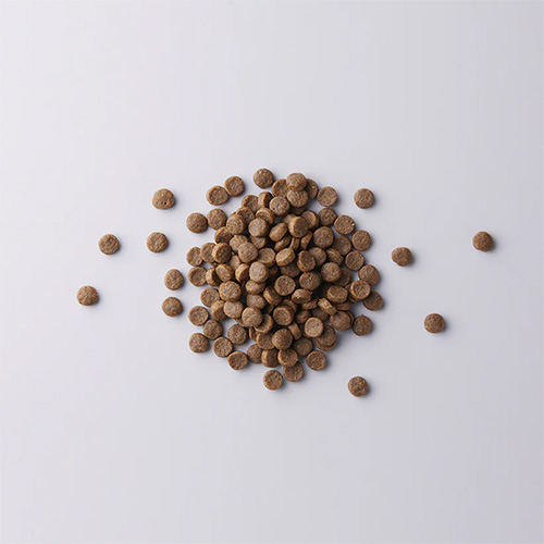 WILD PRO（ワイルドプロ） グラスフェッドラム＆プレバイオティクス