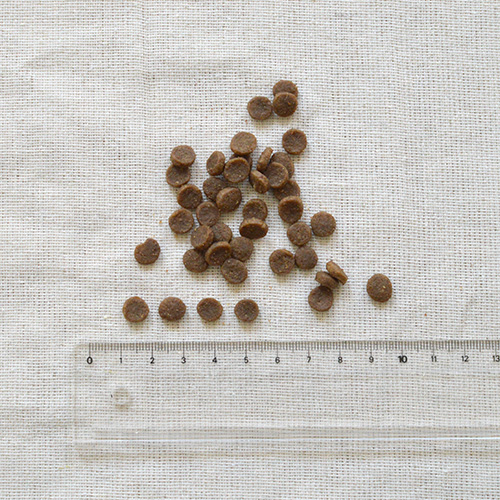 WILD PRO 平飼いチキン＆緑イ貝