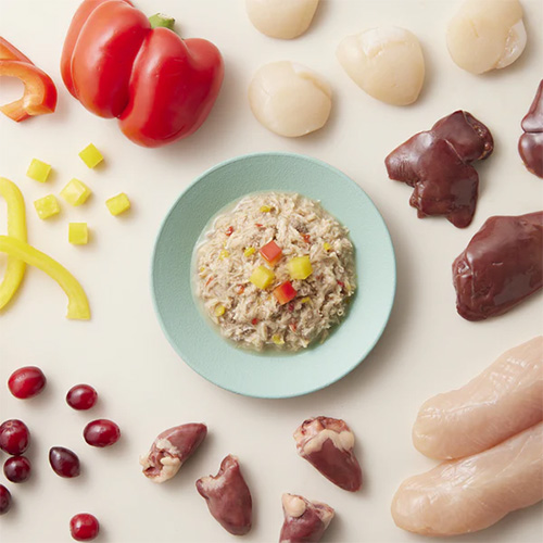 Care Deli（ケアデリ）デンタルケア