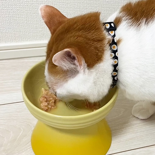 Care Deli（ケアデリ）腎臓ケア