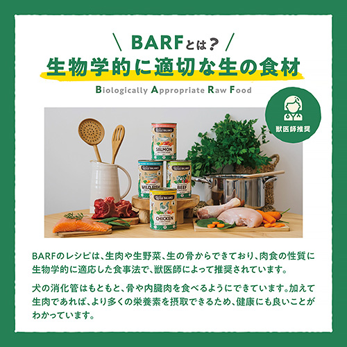 ワイルドバランス ESPANA(エスパーニャ)セット【数量限定】