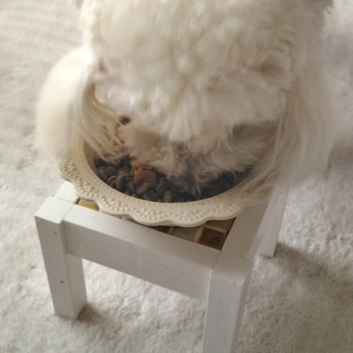 yum yum yum！ ジュレ仕立て　春子鯛【数量限定】