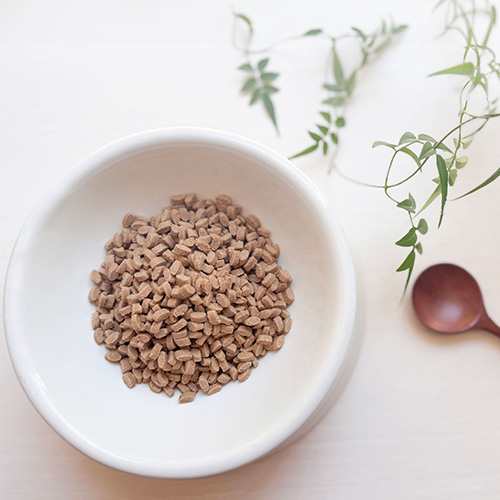 yum yum yum！健康マネジメント消化サポート