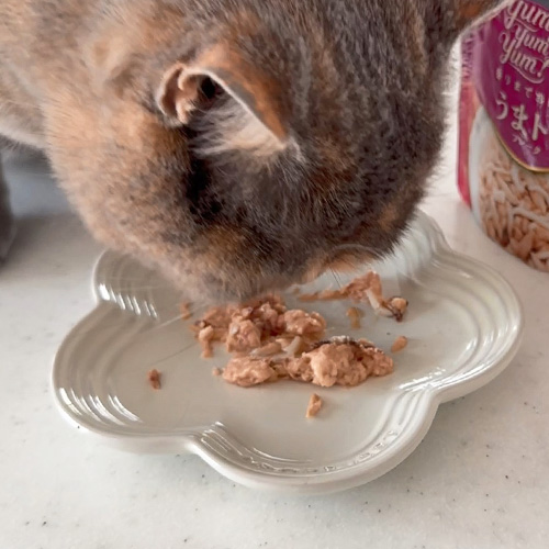 yum yum yum！ うまトロ フレーク　カツオ・マグロ・しらす