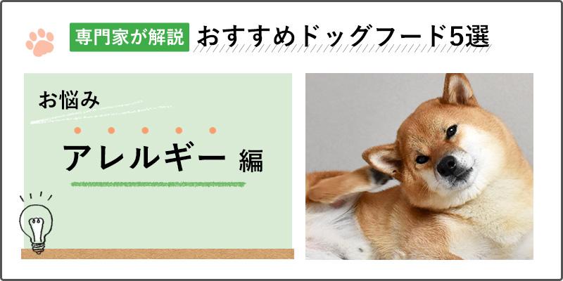 【専門家が解説】アレルギー対応が必要な愛犬におすすめのドッグフード人気ランキング5選