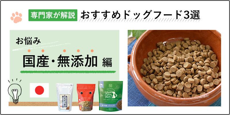 【専門家が解説】安全なドッグフードって？愛犬におすすめの国産・無添加ドッグフード人気ランキング3選