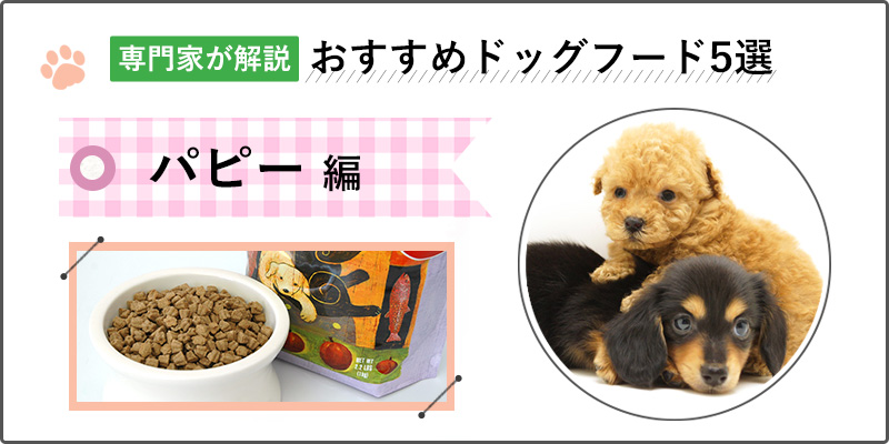 【【専門家が解説】子犬（パピー）用ドッグフードおすすめ人気ランキング5選 