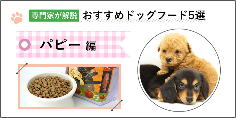 【専門家が解説】子犬にぴったりなドッグフードおすすめ人気ランキング5選