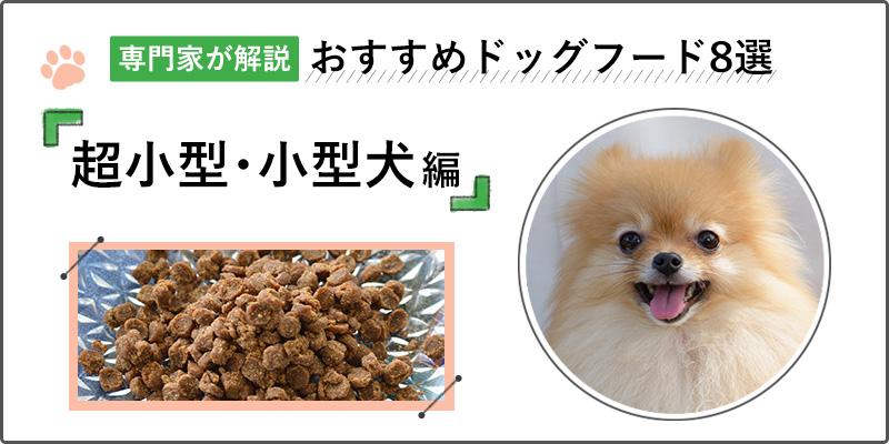 【専門家が解説】小型犬＆超小型犬にぴったりなドッグフードおすすめ人気ランキング8選