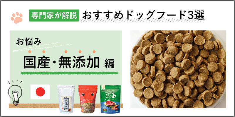 【専門家が解説】安全なドッグフードって？愛犬におすすめの国産・無添加ドッグフード人気ランキング3選