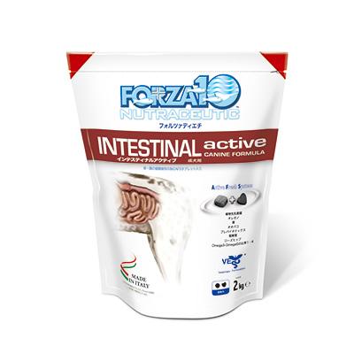 FORZA10（フォルツァディエチ）インテスティナルアクティブ 胃腸ケア（小粒）