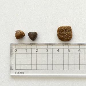 FORZA10(フォルツァディエチ)ウェイトコントロールアクティブ 体重・血糖値ケア(小粒)