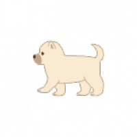 【2025年】【専門家が解説】子犬用ドッグフードおすすめ人気ランキング5選
