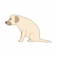【専門家が解説】シニア犬（老犬・高齢犬）にぴったりなドッグフードおすすめ人気ランキング6選