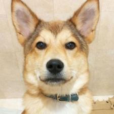 岳（ガク）くん