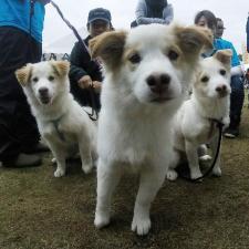 萌(モエ)ちゃん