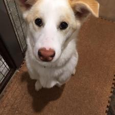 菻(リン)ちゃん