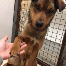 しんのすけくん