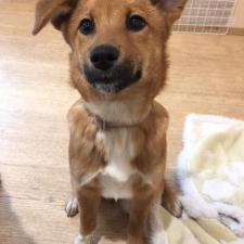 アインスちゃん