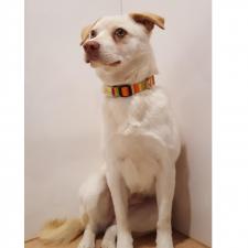 スンヨンちゃん