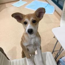 シュリナちゃん