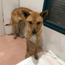 マンダリンちゃん