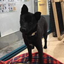 アルブルちゃん