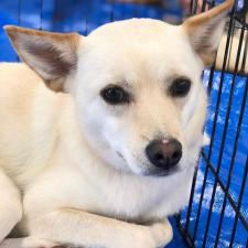 ウオッカちゃん