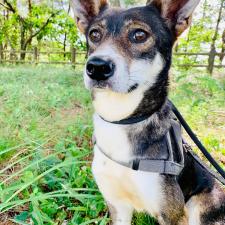 スポロンちゃん