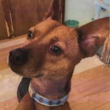 ミラクルちゃん