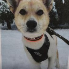 スムージーちゃん