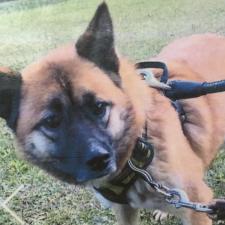 ディフィちゃん