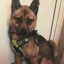 ちゅうえいくん