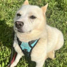 マンサーノちゃん