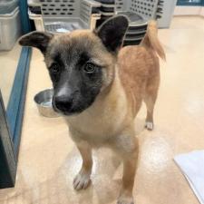 ソーミャちゃん