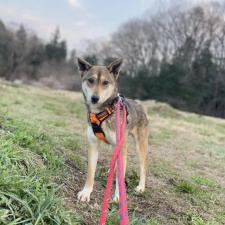 ミッチェルちゃん