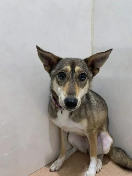 ミッチェルちゃん