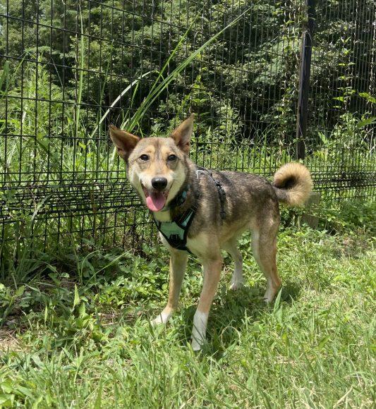 ミッチェルちゃん