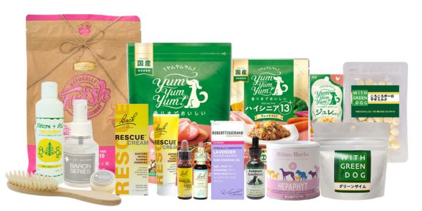 学習グッズがお得に買える!