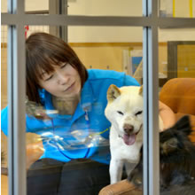 いつでも保護犬に会える！～常設の保護犬譲渡センター