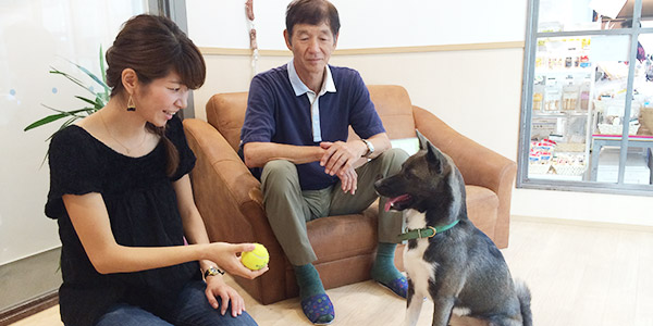 No3.大切なパートナーを失ったあとに保護犬を迎えた～その子をありのまま受け入れる～1