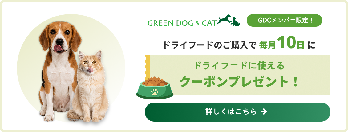 ドライフードのご購入で毎月10日にクーポンプレゼント