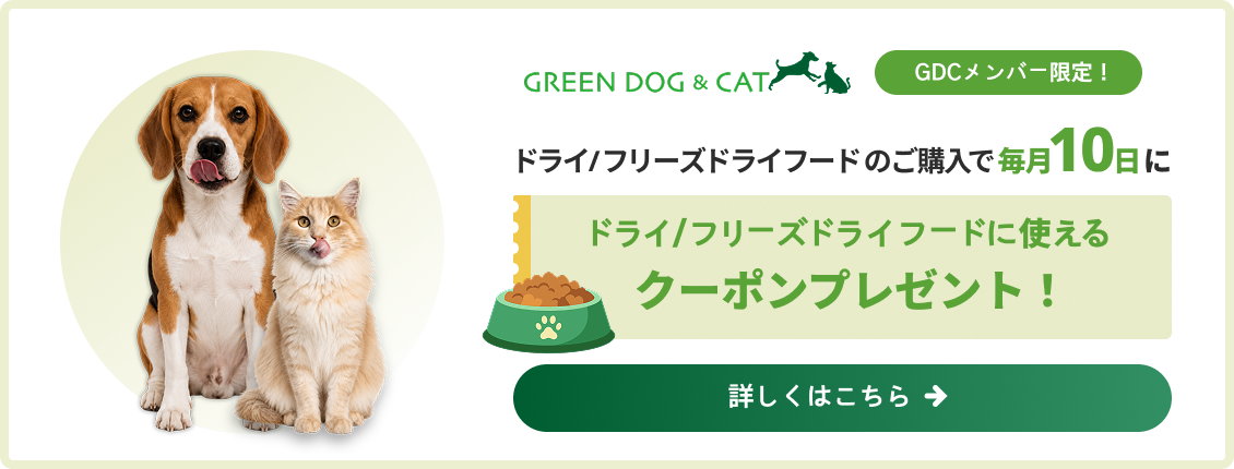 ドライフードのご購入で毎月10日にクーポンプレゼント