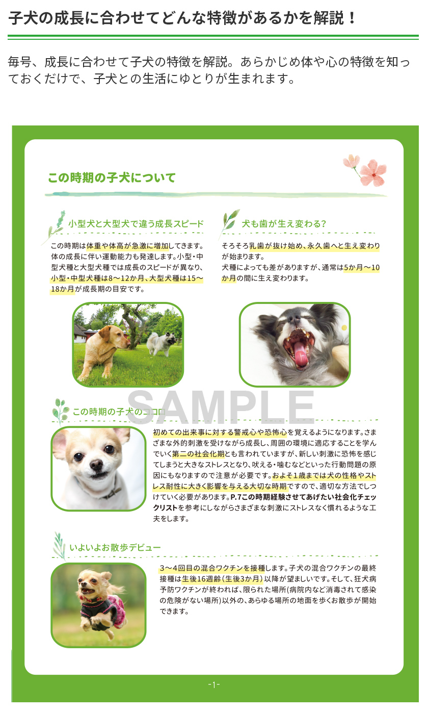子犬の１年間をトータルサポート すくすく子犬box すくすく子犬ボックス Top Green Dog グリーンドッグ 公式通販