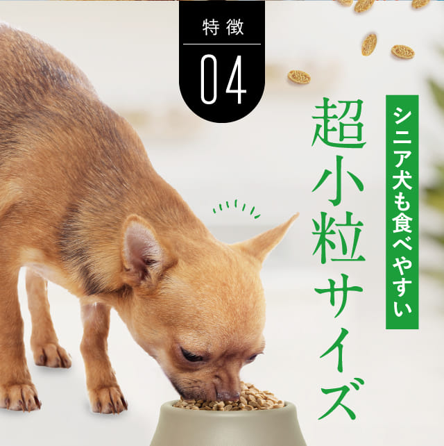 特徴04 シニア犬も食べやすい超小粒サイズ