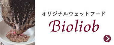 BILBねこ