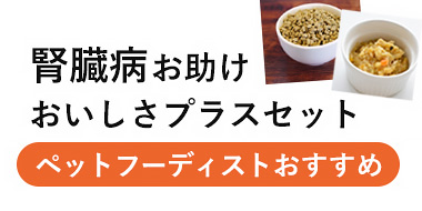 腎臓病お助けおいしさプラスセット