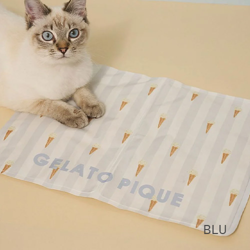 CAT＆DOG 浴衣【数量限定】