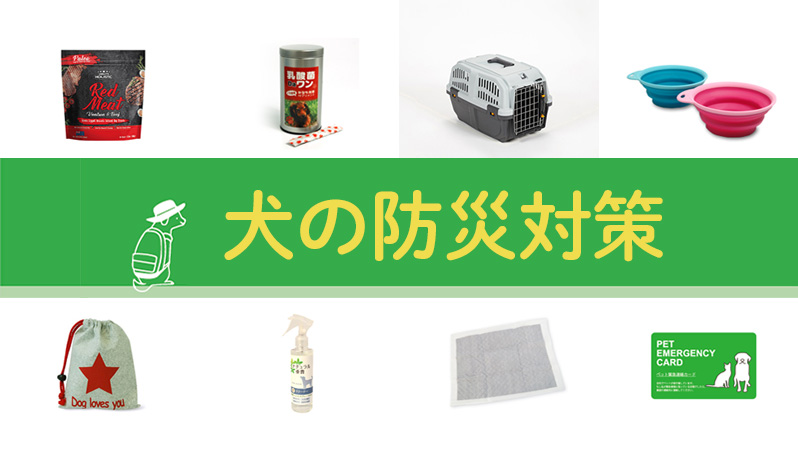 【犬の防災対策】愛犬のために準備しておきたいペット用防災グッズ