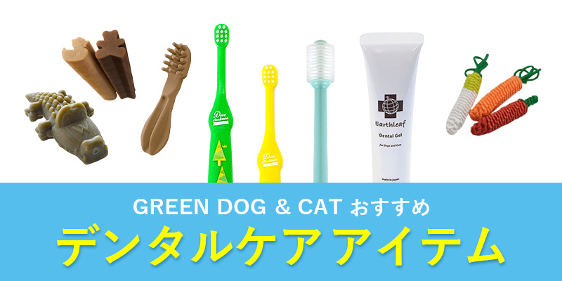 GREEN DOG & CATスタッフおすすめの「デンタルケアアイテム」